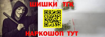 прущие крисы Кингисепп